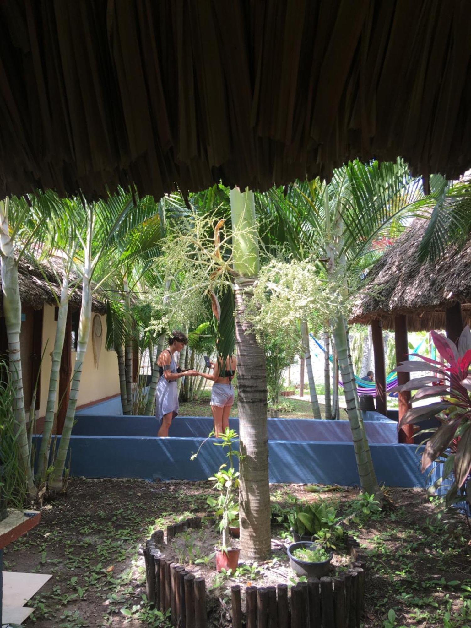 ホテル Casa Bokoba バカラル エクステリア 写真